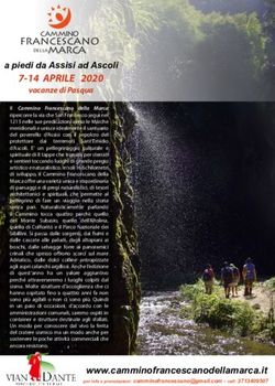 Francescano - Cammino Francescano della marca