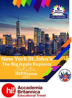 New York St.John's The Big Apple Explorer - Accademia Britannica