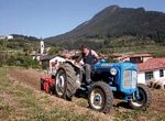 PIANO DI VALORIZZAZIONE E TIPICIZZAZIONE DELLA PATATA DI MONTAGNA