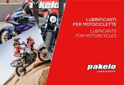 LUBRIFICANTI PER MOTOCICLETTE LUBRICANTS FOR MOTORCYCLES - Pakelo ...