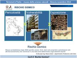 Terremoti d'Italia - museo delle scienze naturali - Brescia novembre 2014 - Cos'è il Rischio Sismico? Fonte prof. Ing. Mauro Dolce - dipartimento ...
