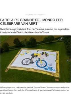 LA TELA Pi&ugrave; GRANDE DEL MONDO PER CELEBRARE VAN AERT - cloudfront.net