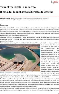 Tunnel realizzati in subalveo Il caso del tunnel sotto lo Stretto di Messina