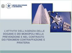 L'ATTIVITA' DELL'AGENZIA DELLE DOGANE E DEI MONOPOLI NELLA PREVENZIONE E NEL CONTRASTO DEI FENOMENI CONTRAFFAZIONE E PIRATERIA
