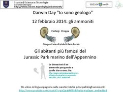 Darwin Day "Io sono geologo" 12 febbraio 2014: gli ammoniti
