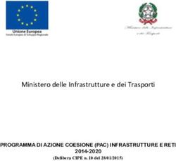 Ministero delle Infrastrutture e dei Trasporti - PROGRAMMA DI AZIONE COESIONE (PAC) INFRASTRUTTURE E RETI 2014-2020 - Cipe