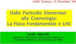 Dalle Particelle Elementari alla Cosmologia: La Fisica Fondamentale e LHC - Guido Altarelli