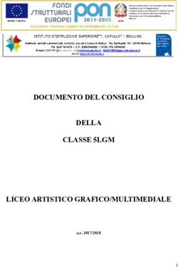 DOCUMENTO DEL CONSIGLIO DELLA CLASSE 5LGM LICEO ARTISTICO GRAFICO/MULTIMEDIALE - a.s. 2017/2018
