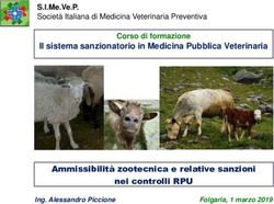 Il Sistema Sanzionatorio In Medicina Pubblica Veterinaria ...