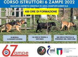 CORSO ISTRUTTORI 6 ZAMPE 2022 - 400 ORE DI FORMAZIONE QUALIFICA ESPERTO CINOFILO IN AREA COMPORTAMENTALE