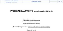 PROGRAMMA SVOLTO Anno Scolastico 2020 - Sella Aalto ...