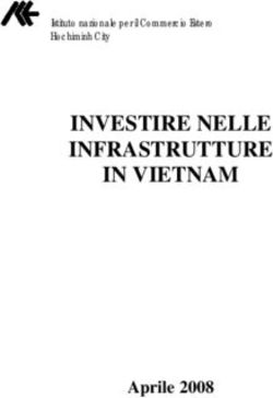 INVESTIRE NELLE INFRASTRUTTURE IN VIETNAM - Aprile 2008 - Istituto nazionale per il Commercio Estero