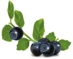 EVASIONI di gusto - non in linea con i soliti sapori