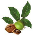 EVASIONI di gusto - non in linea con i soliti sapori