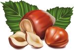 EVASIONI di gusto - non in linea con i soliti sapori