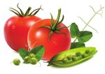 EVASIONI di gusto - non in linea con i soliti sapori