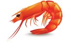 EVASIONI di gusto - non in linea con i soliti sapori