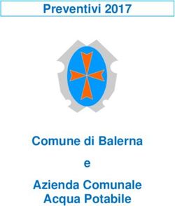 Preventivi 2017 - Comune di Balerna e Azienda Comunale Acqua Potabile