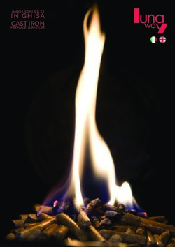 IN GHISA CAST IRON ARREDO FUOCO - Lunaway