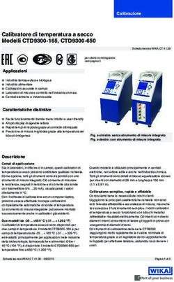 Calibratore di temperatura a secco Modelli CTD9300-165, CTD9300-650 - WIKA