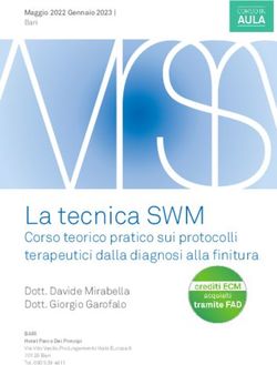 La tecnica SWM Corso teorico pratico sui protocolli terapeutici dalla diagnosi alla finitura - Sweden & Martina
