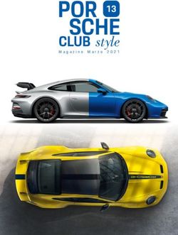 POR SCHE CLUB style 13 - Federazione Italiana Porsche Club