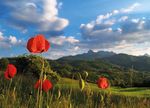 Manifestazioni ESTATE 2018 in GARFAGNANA - UNIONE COMUNI GARFAGNANA
