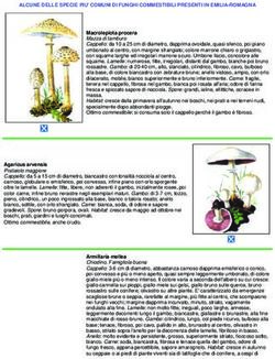 ALCUNE DELLE SPECIE PIU' COMUNI DI FUNGHI COMMESTIBILI PRESENTI IN EMILIA-ROMAGNA