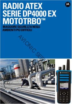 RADIO ATEX SERIE DP4000 EX MOTOTRBO - MAGGIORE SICUREZZA NEGLI AMBIENTI PI&Ugrave; DIFFICILI - AVIONIC SERVICE