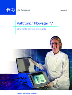 Palltronic Flowstar IV - Strumento per test di integrità