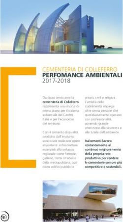 CEMENTERIA DI COLLEFERRO PERFOMANCE AMBIENTALI - Italcementi