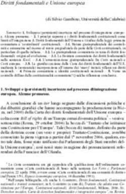 Diritti fondamentali e Unione europea