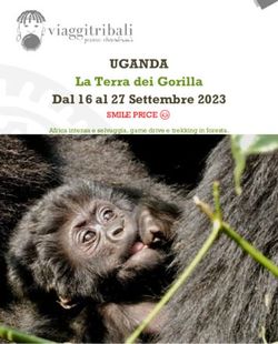 UGANDA La Terra dei Gorilla Dal 16 al 27 Settembre 2023 - SMILE PRICE Africa intensa e selvaggia, game drive e trekking in foresta.