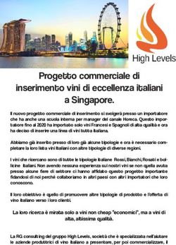 Progetto commerciale di inserimento vini di eccellenza italiani a Singapore.