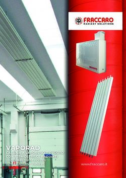 VAPORAD CALDAIA A VAPORE SOTTOVUOTO CON TERMOSTRISCE RADIANTI VACUUM STEAM BOILER WITH RADIANT PANELS - Fraccaro