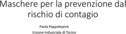Maschere per la prevenzione dal rischio di contagio - Paola Pappalepore Unione Industriale di Torino - Unione Industriale ...