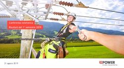 Conferenza telefonica Risultati del 1 semestre 2019 - Repower