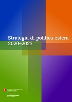 Strategia di politica estera 2020-2023 - Circolo Svizzero