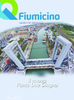 Il nuovo Ponte Due Giugno - QFiumicino.com