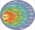 IL DIVERSITY MANAGEMENT COME GESTIONE INTEGRATA DELLE DIFFERENZE
