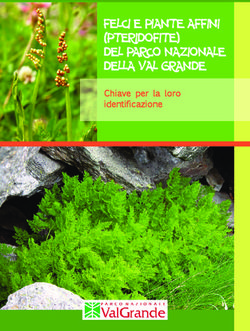 FELCI E PIANTE AFFINI (PTERIDOFITE) DEL PARCO NAZIONALE DELLA VAL GRANDE - Chiave per la loro identificazione