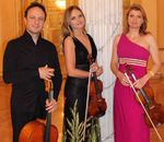 Cameristi della Scala&Friends - Estate 2018 - musei lombardia