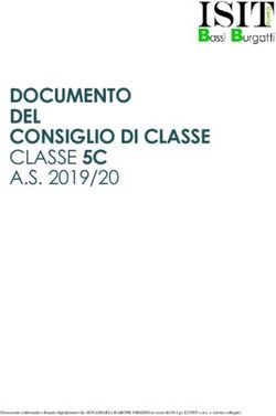 DOCUMENTO DEL CONSIGLIO DI CLASSE CLASSE 5C A.S. 2019/20