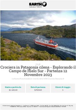 Crociera in Patagonia cilena - Esplorando il Campo de Hielo Sur - Partenza 12 - Esplorando il Campo de ...