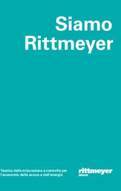 Siamo Rittmeyer - Tecnica della misurazione e controllo per l'economia delle acque e dell'energia
