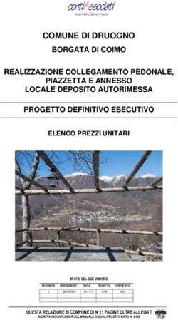 COMUNE DI DRUOGNO BORGATA DI COIMO REALIZZAZIONE COLLEGAMENTO PEDONALE, PIAZZETTA E ANNESSO LOCALE DEPOSITO AUTORIMESSA PROGETTO DEFINITIVO ESECUTIVO