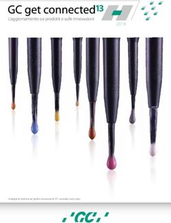 13 L'aggiornamento sui prodotti e sulle innovazioni - GC Europe