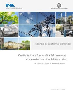 Caratteristiche e funzionalit&agrave; del simulatore di scenari urbani di mobilit&agrave; elettrica