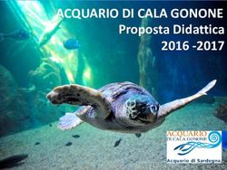 ACQUARIO DI CALA GONONE - Proposta Didattica 2016 -2017