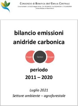 Bilancio emissioni anidride carbonica - periodo 2011 2020 - Consorzio di Bonifica dell'Emilia Centrale